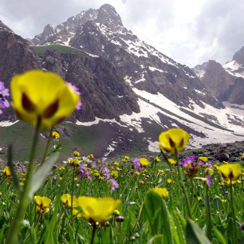 Hakkari' de Gezilecek Yerler I Doğal Güzellikler ve Yöresel Lezzetlerle Dolu Bir Keşif